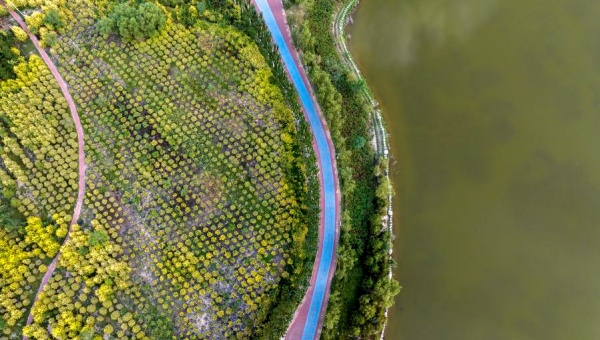 China unveils 2025-2030 plan to promote healthy environments